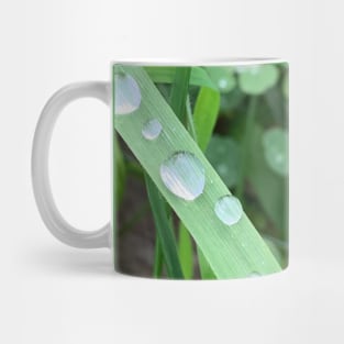 Dew Mug